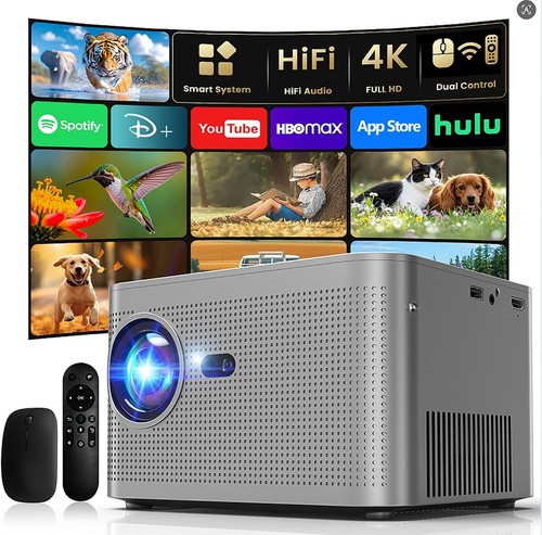 Projector 1080p native - 1080p, support