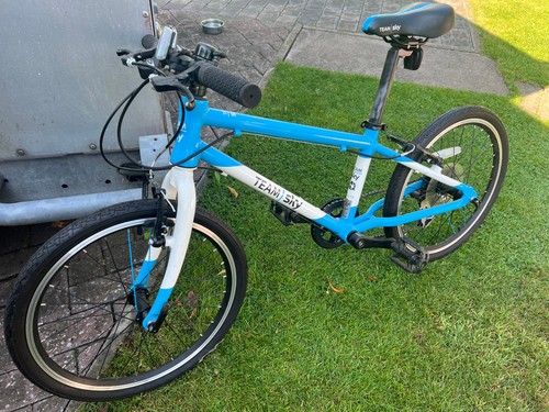 Bicycle frog team sky mint - bicycle, 55