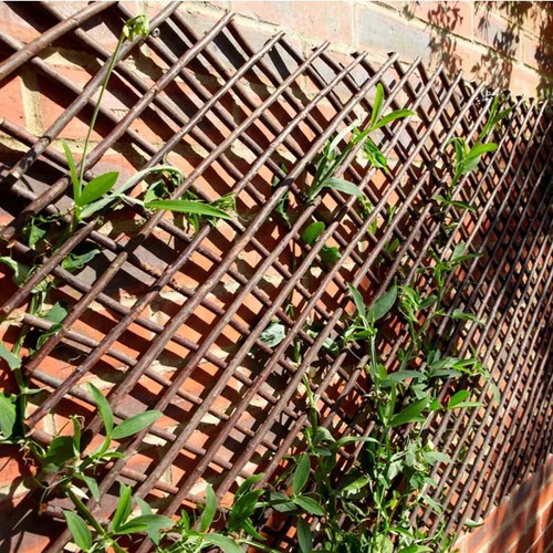 Expandable willow garden - willow,