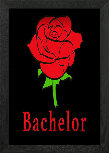 Beautiful bachelor rose framed - bachelor,