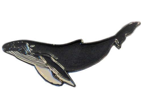 Humpback whale marine mammal - whale,