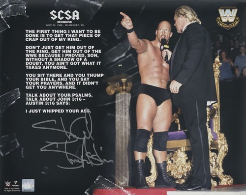 Stone cold steve austin wwe - "stone,