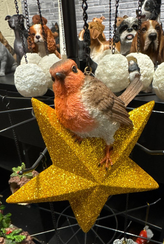 Hanging robin star - robin,