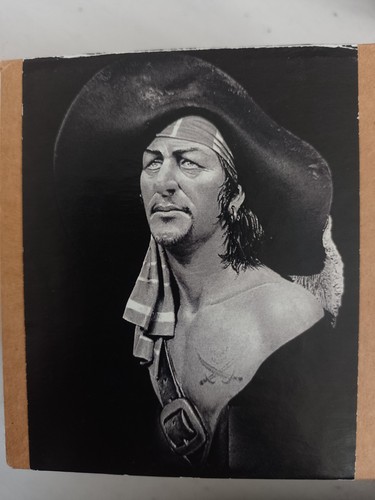 Latorre models pirate bust - latorre,