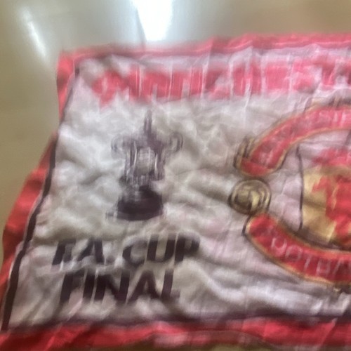 Manchester united cup final - united, fa