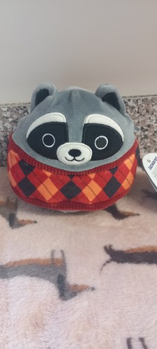 Squishmallow rocky racoon - squishmallow,