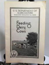 Feeding Dairy Cows Grains