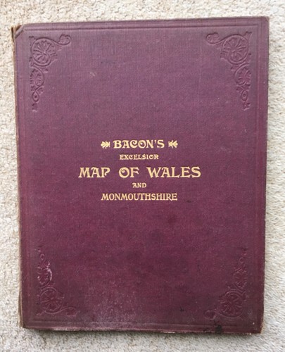 Bacon excelsior map - excelsior, wales
