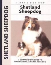 Shetland Sheepdog: A