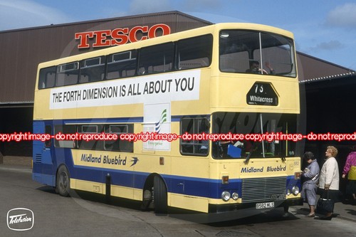 Bus photo midland bluebird - -,