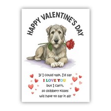 Irish Wolfhound Dog