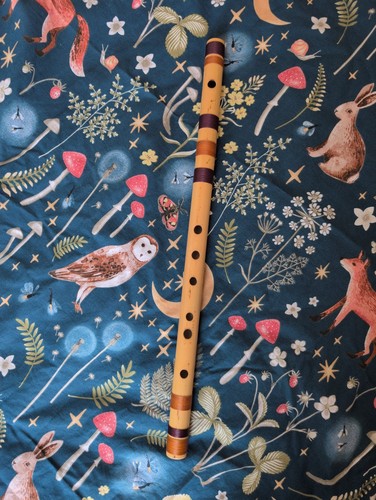 Bansuri flute a - flute, in