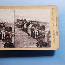 Victorian Seaside Stereoview