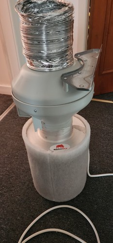 Rvk sileo 125 inch - 125,