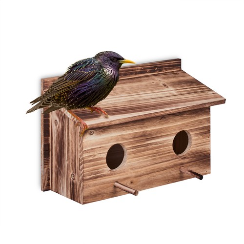 Nesting box starling house - box,