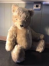 Chunky Heavy Old Teddy
