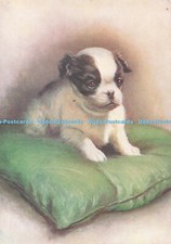 R733258 The Japanese Spaniel