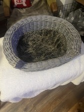Wicker Grey Dog Bed And Cushion