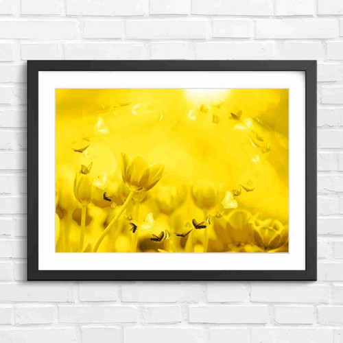 Vibrant tulips and butterflies - vibrant,