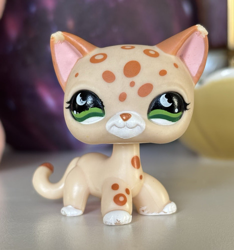 Hasbro lps littlest - lps, shop