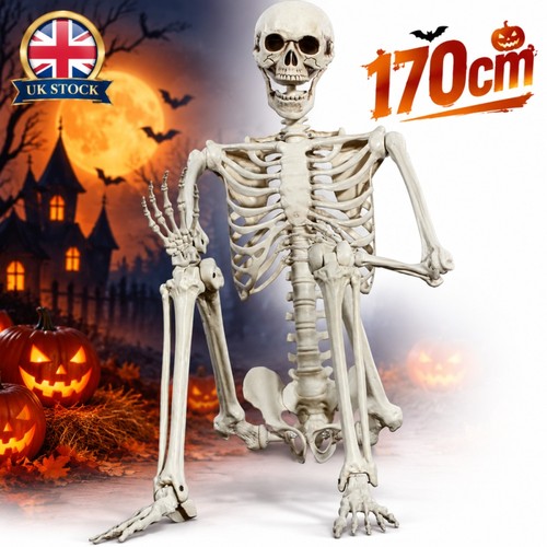 170cm large poseable - full, life