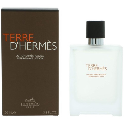 Terre hermes for - by,