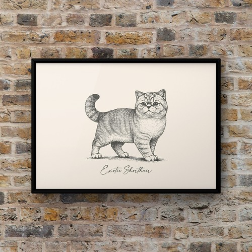 Art print cat - -cat,