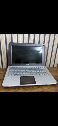 Sony vaio series netbook - w,