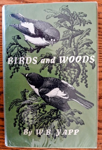 Birds and woods - woods, b