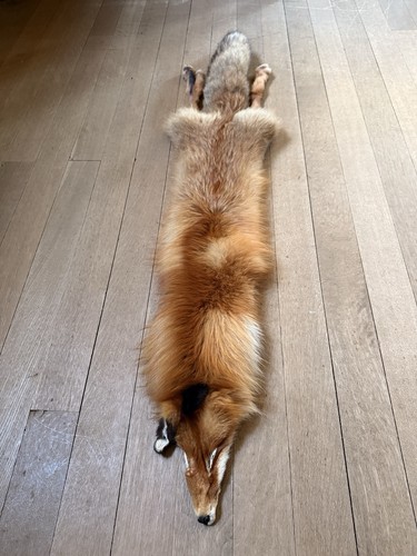 Vintage genuine red fox fur - vintage,