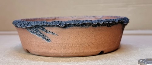 Rustic dragon claw bonsai - claw,