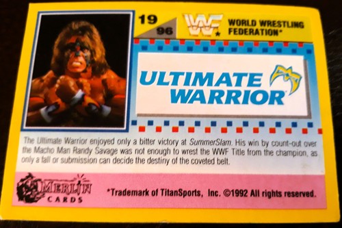 Wwf summer slam 1992 - summer,