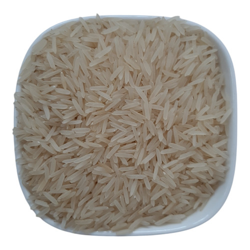 1121 sella long - sella, grain