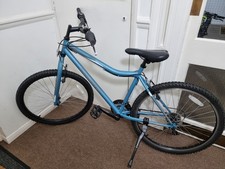 Coyote Callisto XR Mountain