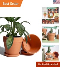 8 Inch Clay Pot for Plant with