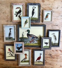 Bird Reverse Glass Paintings