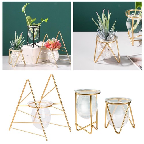 Transparent vase for - vase,