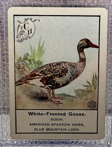 1899 cincinnati fireside - 1899,