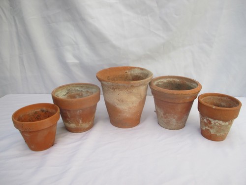 Old new terracotta - &,