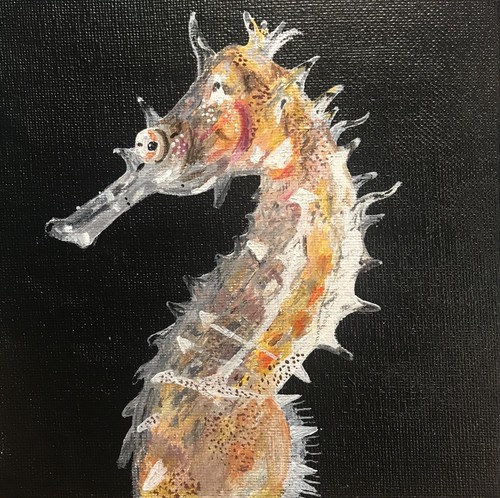 Grey seahorse - grey,