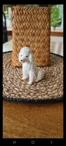 Vintage white poodle dog - vintage,