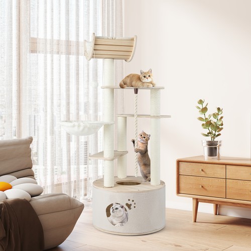Indoor cats multi - multi-level, kitten