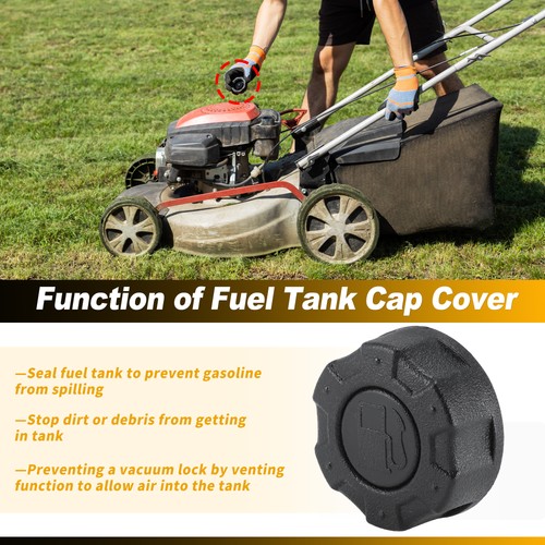 1214163 gas fuel - fuel, cap