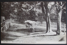 1904 Real Photo style P/C WEIR HALL LANE SILVER STREET EDMONTON LONDON HAY WAGON