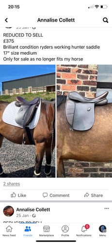 Ryders working hinter saddle - ryders,