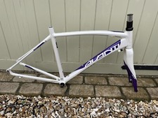 avanti vitale 2 female