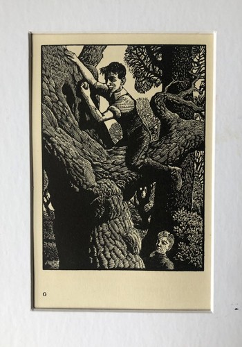 Vintage wood engraving - , print
