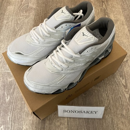Mizuno wave prophecy - prophecy, ls