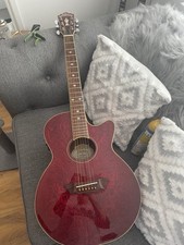 Washburn Ea18tr Electro Acoustic