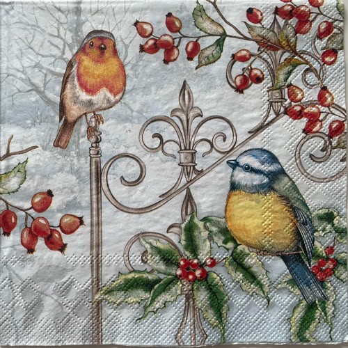 Cocktail paper napkins - 2, for